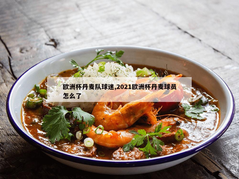 欧洲杯丹麦队球迷,2021欧洲杯丹麦球员怎么了