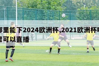 哪里能下2024欧洲杯,2021欧洲杯哪里可以直播