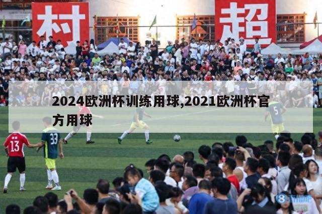 2024欧洲杯训练用球,2021欧洲杯官方用球