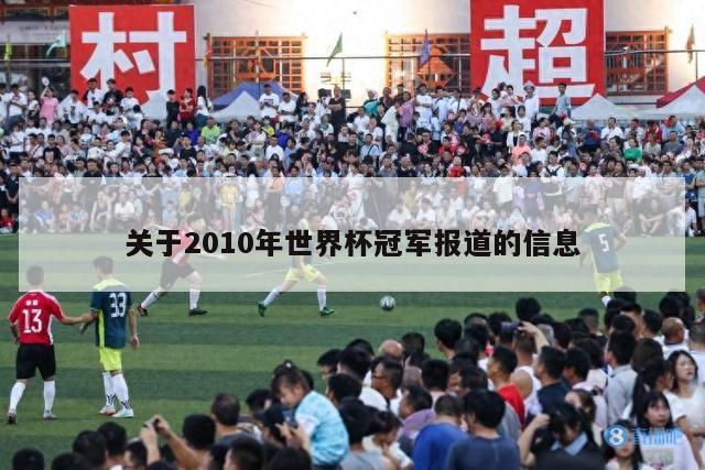 关于2010年世界杯冠军报道的信息