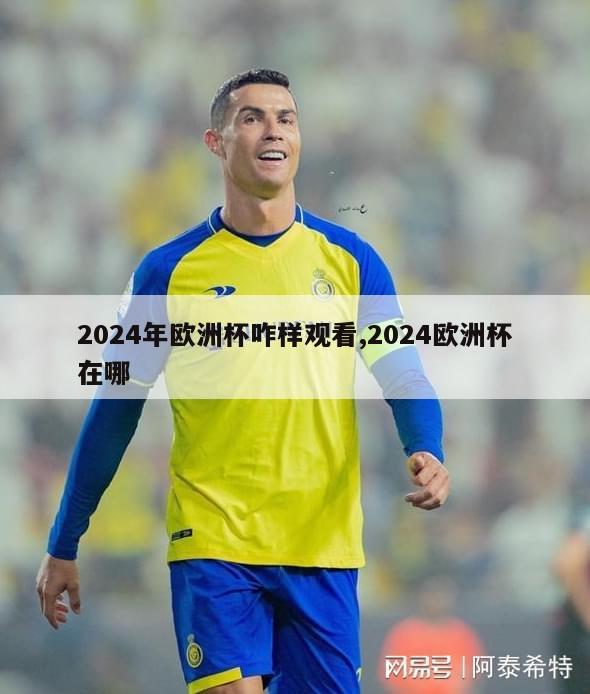 2024年欧洲杯咋样观看,2024欧洲杯在哪