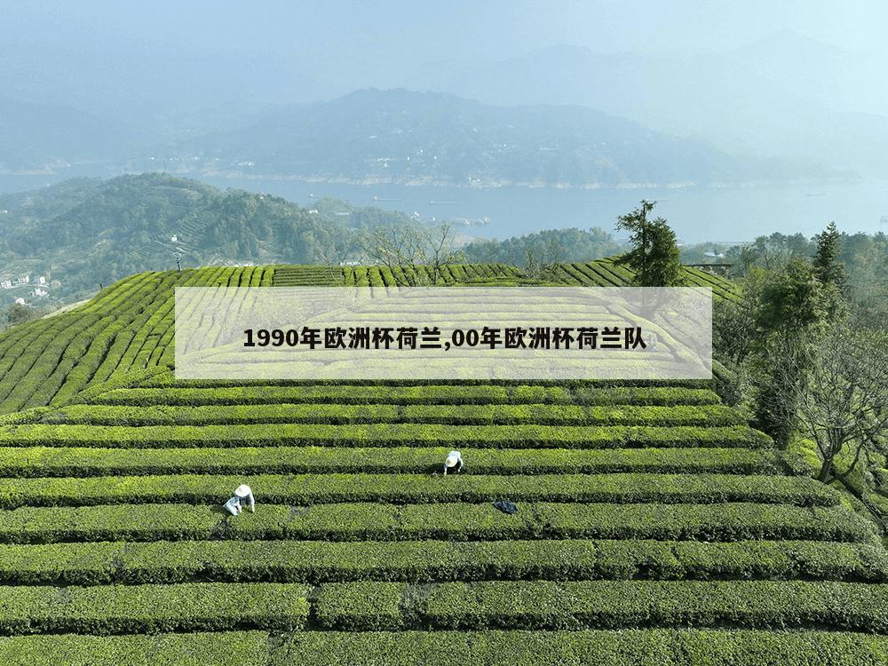 1990年欧洲杯荷兰,00年欧洲杯荷兰队