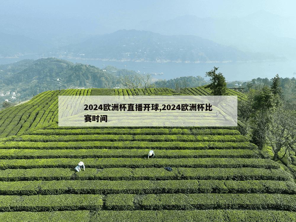 2024欧洲杯直播开球,2024欧洲杯比赛时间