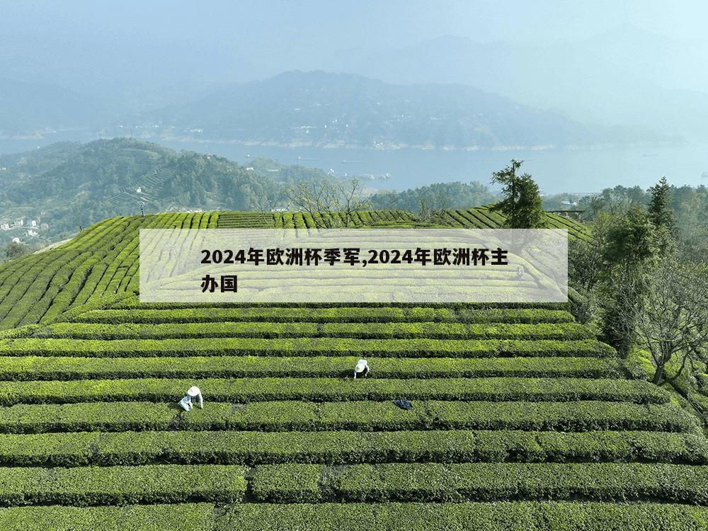 2024年欧洲杯季军,2024年欧洲杯主办国