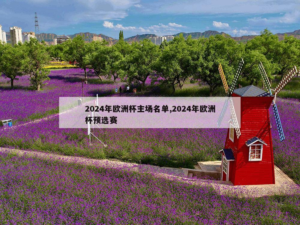 2024年欧洲杯主场名单,2024年欧洲杯预选赛